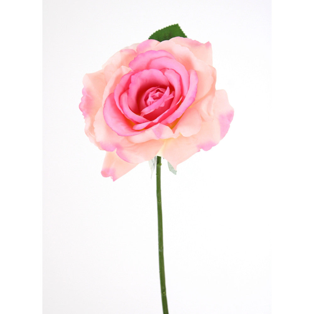 Blossom Pink Rose Stem