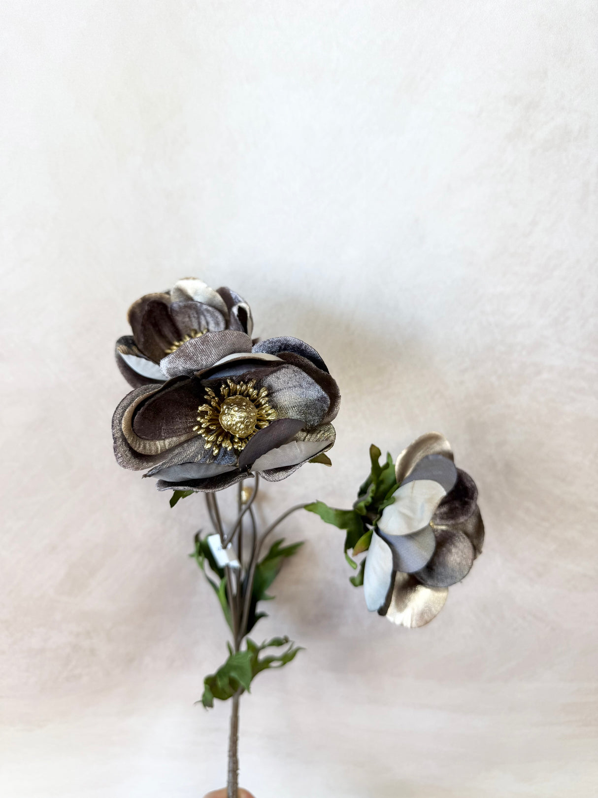 Grey Glamour Velvet Anemone Spray