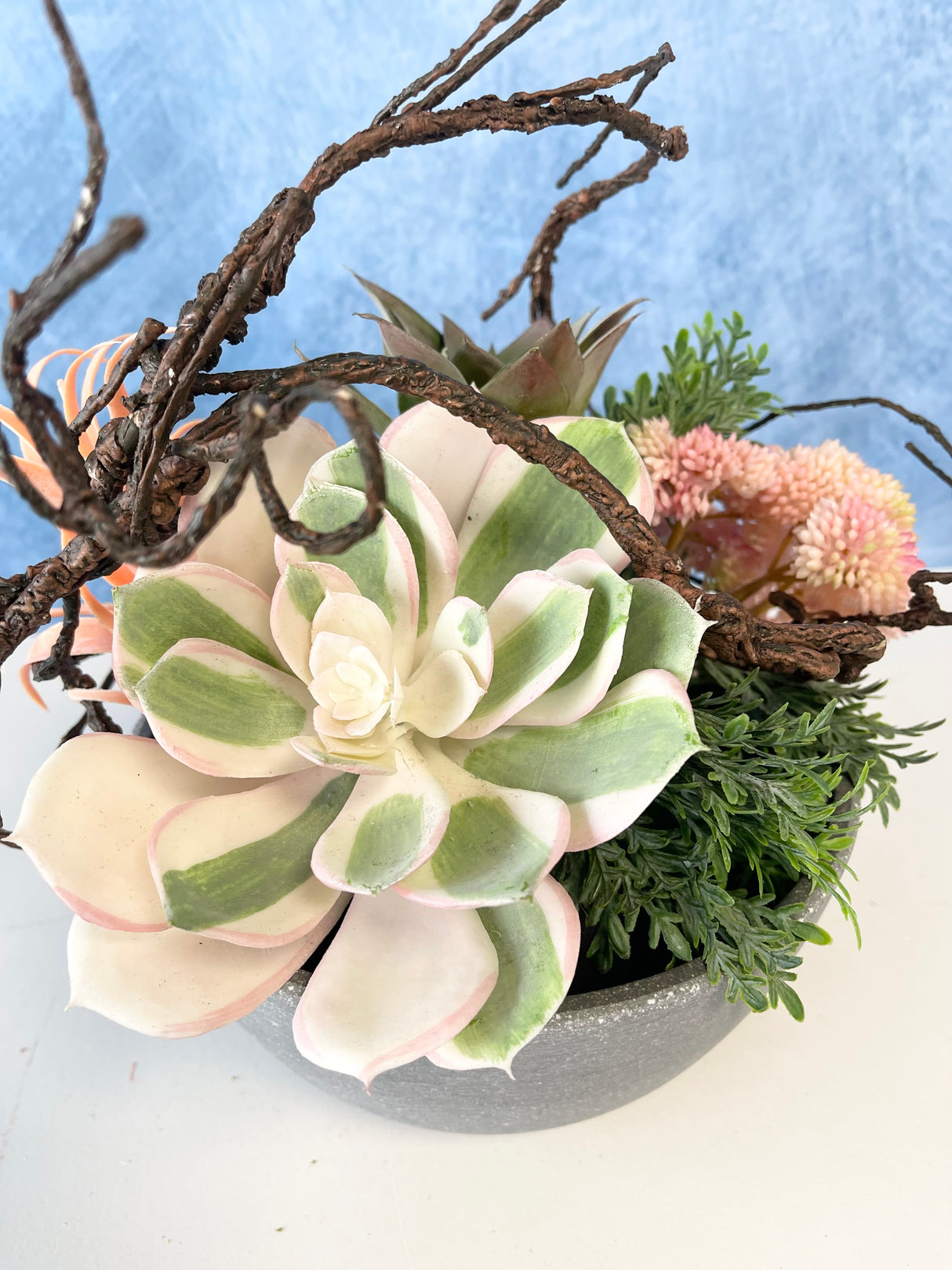 Chloe Succulent Centerpiece Kit