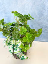 Lucky Clover Centerpiece Kit