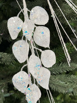 Iridescent Lunaria Spray