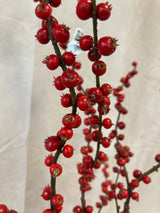 Foraged Red Naked Berry Spray