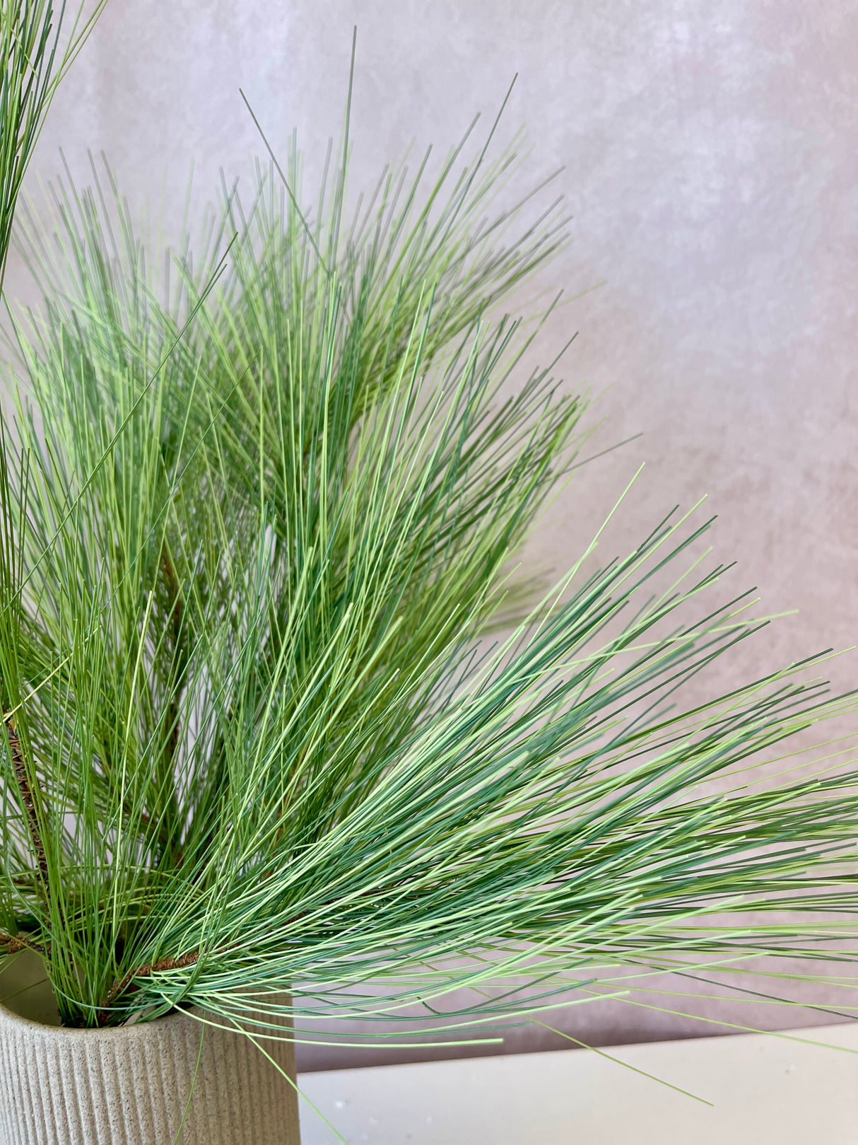 Long Needle Pine Spray