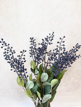 Dark Blue Foliage Seed Bush
