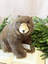 Sitting Brown Bear