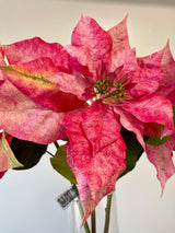 Prettiy In Pink Poinsettia Spray