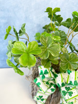 Lucky Clover Centerpiece Kit