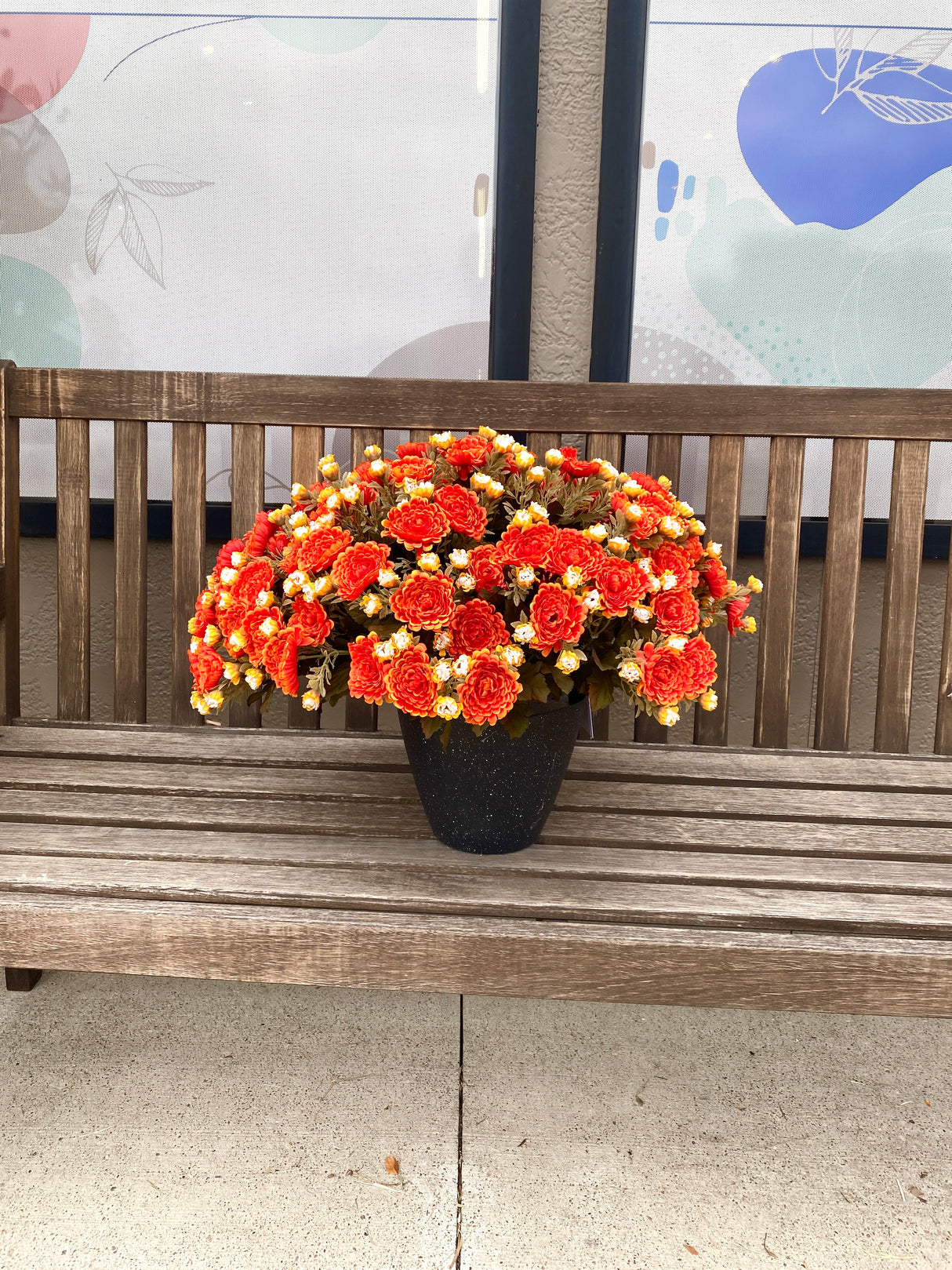 21" Orange Dream Mum Planter Insert