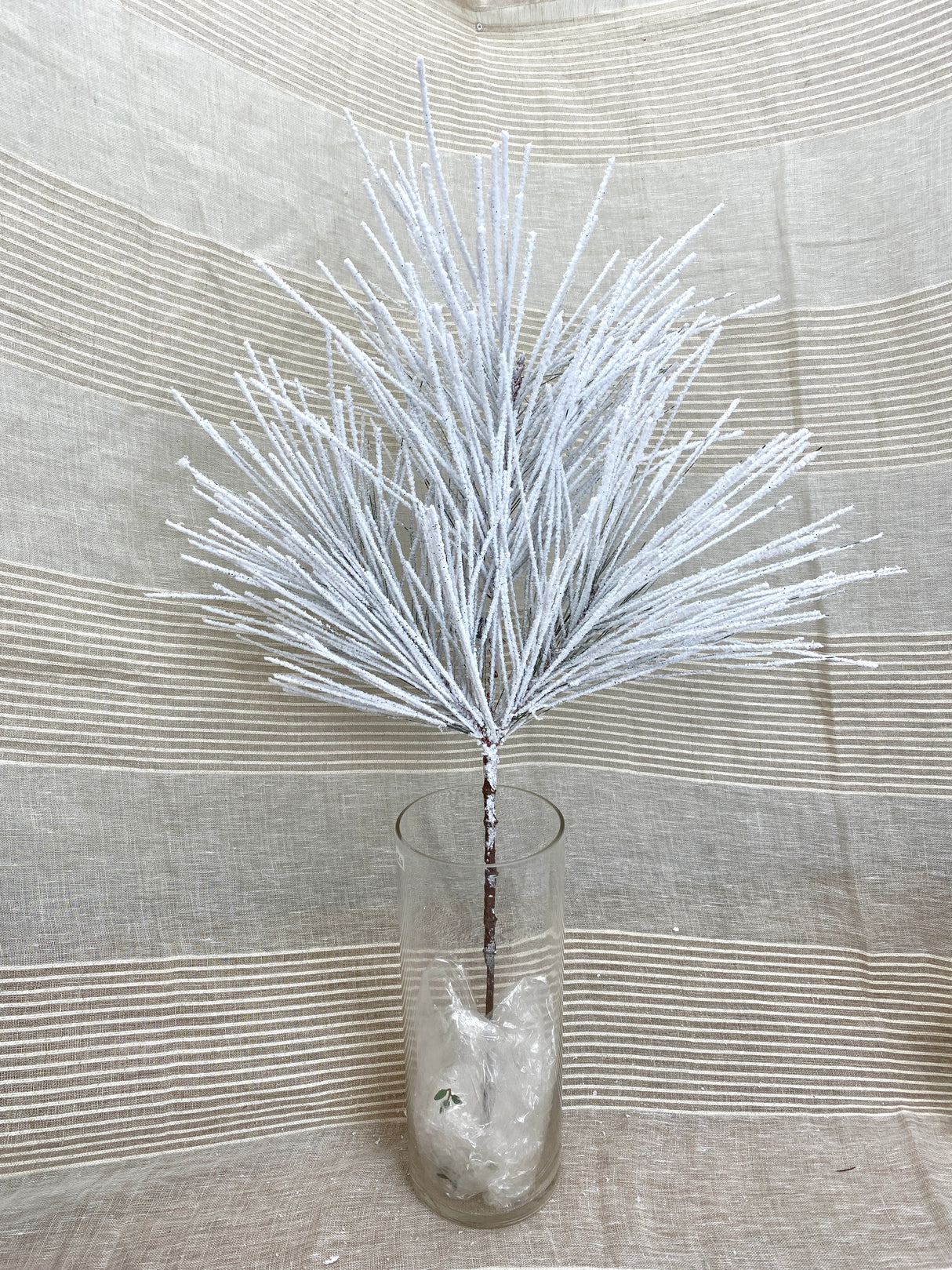 Powerdered Snow Long Needle Pine Spray