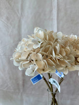 Warm Touch Hydrangea Spray