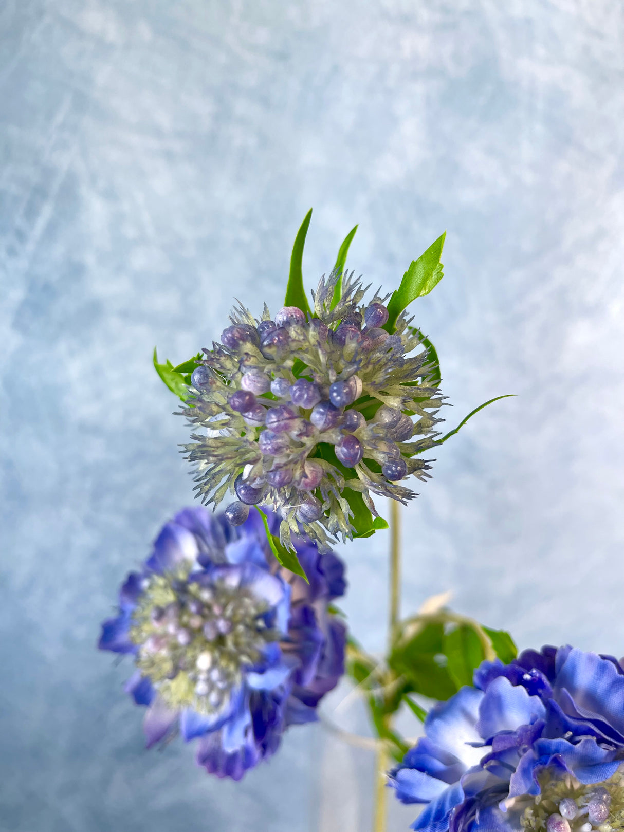 Stowe Real Touch Scabiosa Spray