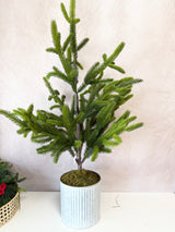 36" Potted Real Touch Norway Spruce Tree