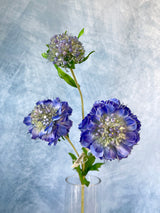 Stowe Real Touch Scabiosa Spray