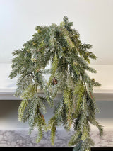 Frosted White Spruce