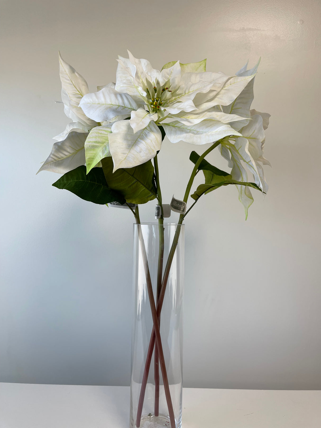 Winter White Poinsettia Spray