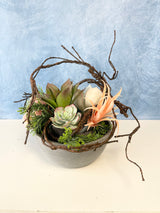 Chloe Succulent Centerpiece Kit