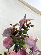 27" Woodland Autumn Lantern Swag