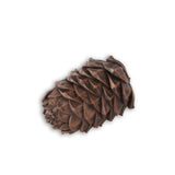 Brown Resin Pinecone