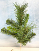 Tall Himalayan Pine Spray