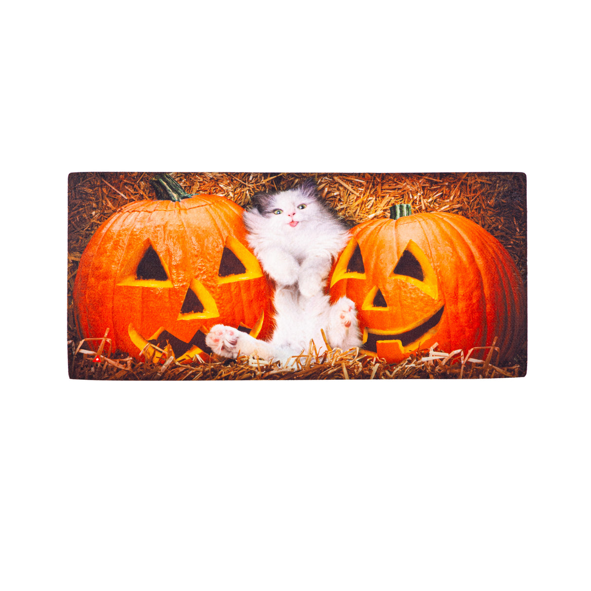 Cat Stuck Between Pumpkins Sassafras Switch Mat