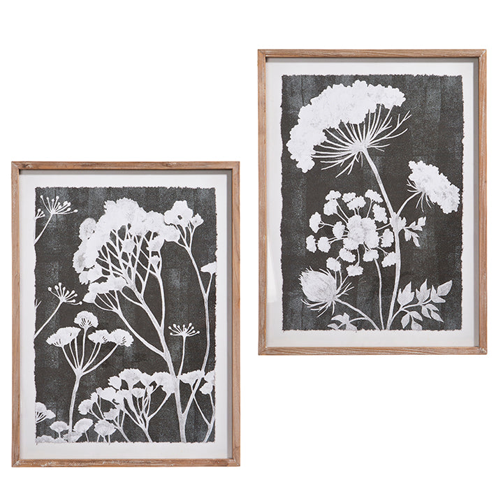 Botanical Framed Print - Pickup Only