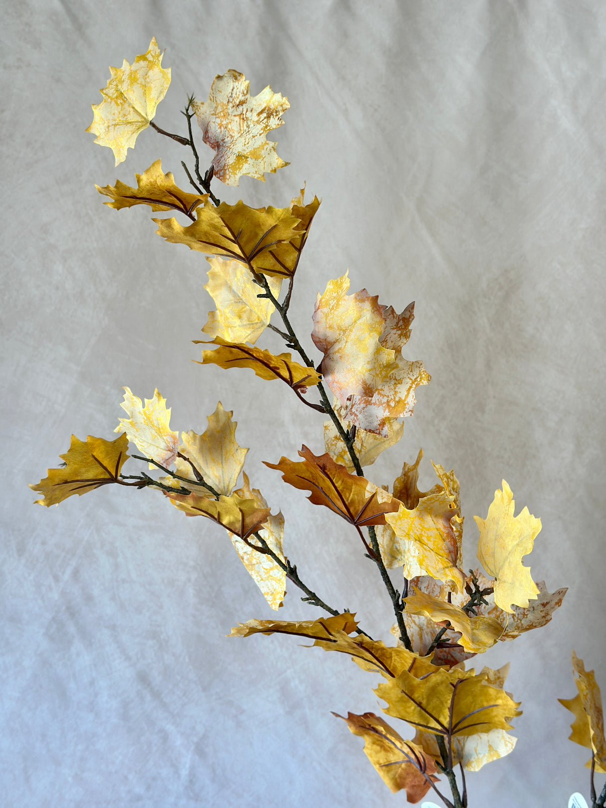 Northern Vermont Maple Spray