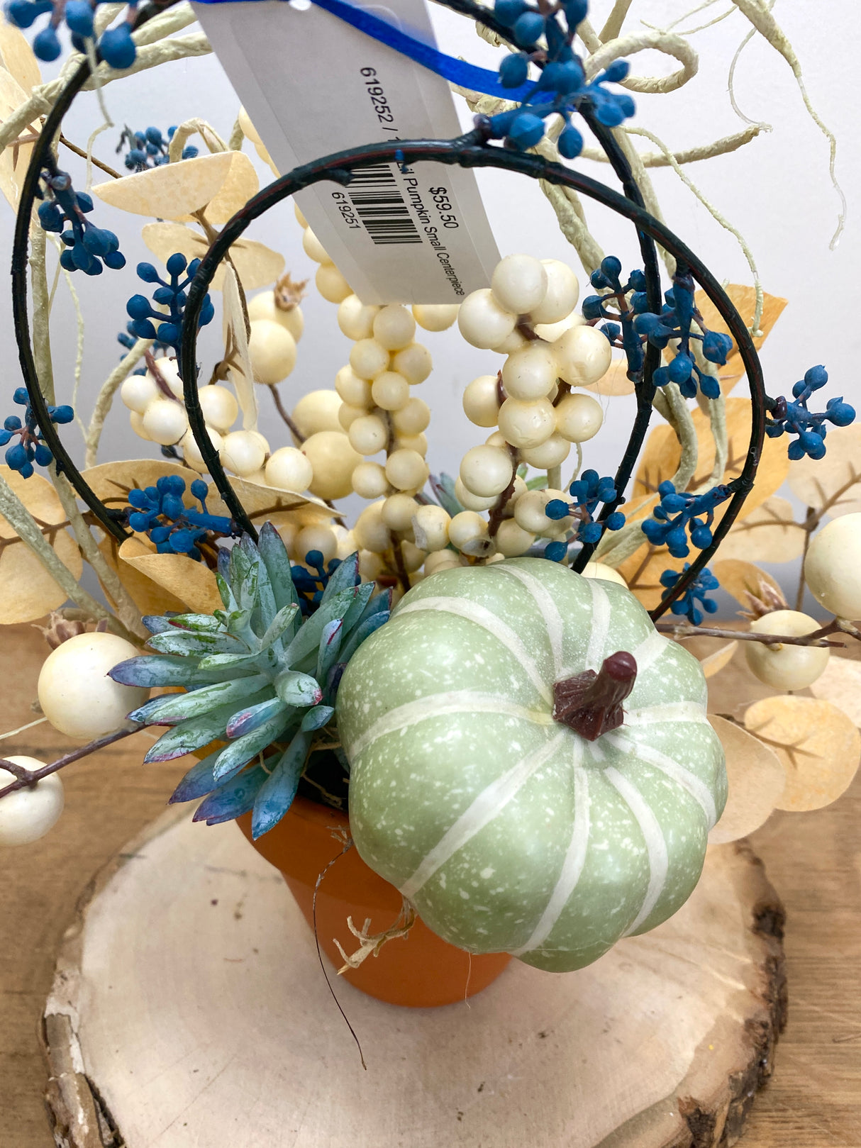 12" Lil Pumpkin pot