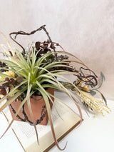 Season of Change Centerpiece Kit
