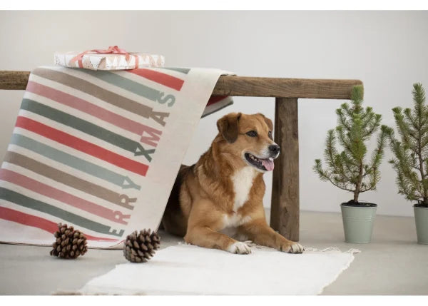 Merry Stripes Cotton Throw Blanket