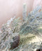 Silk Floral Designs