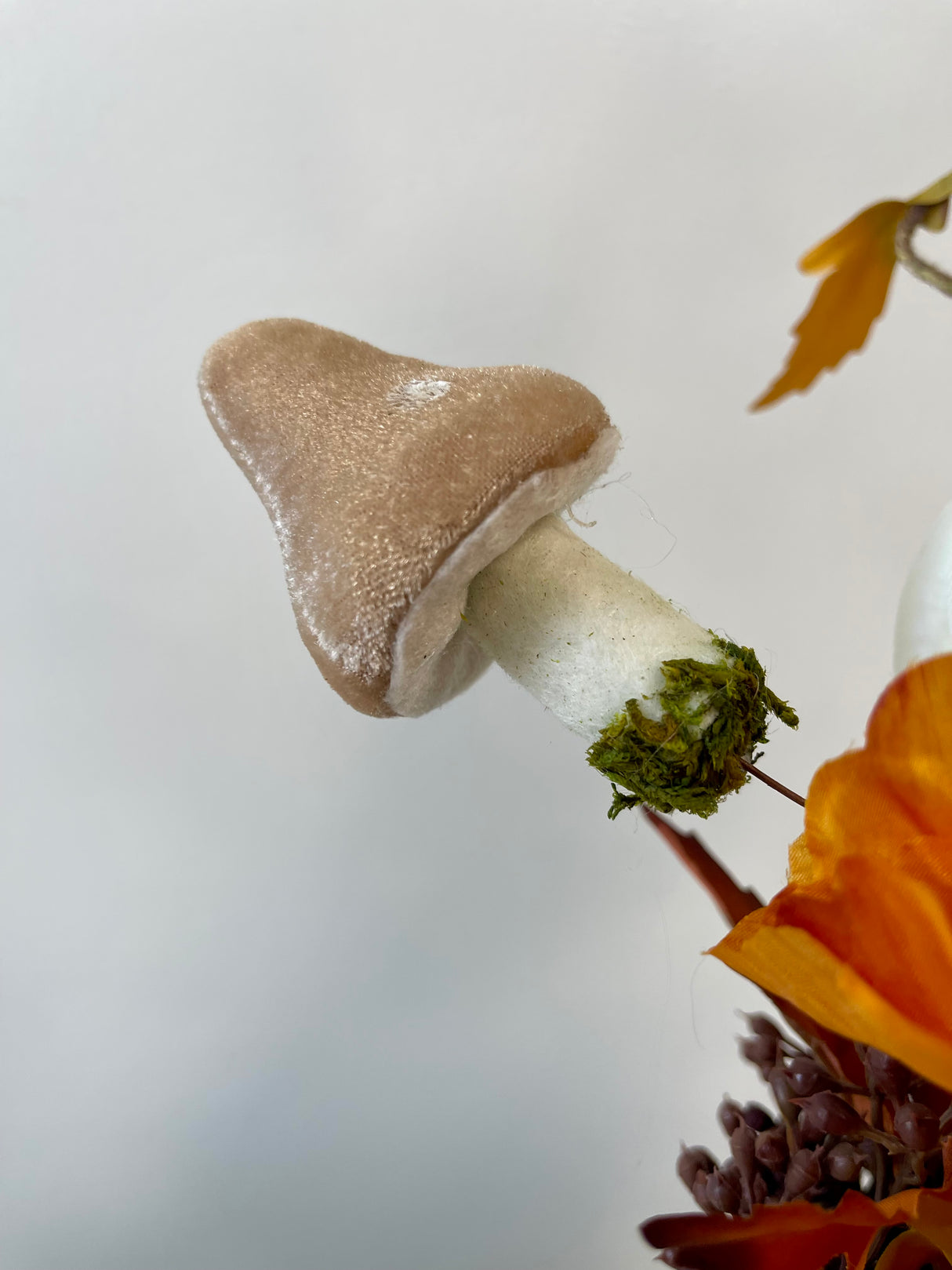 Mushroom Frenzy Centerpiece Kit