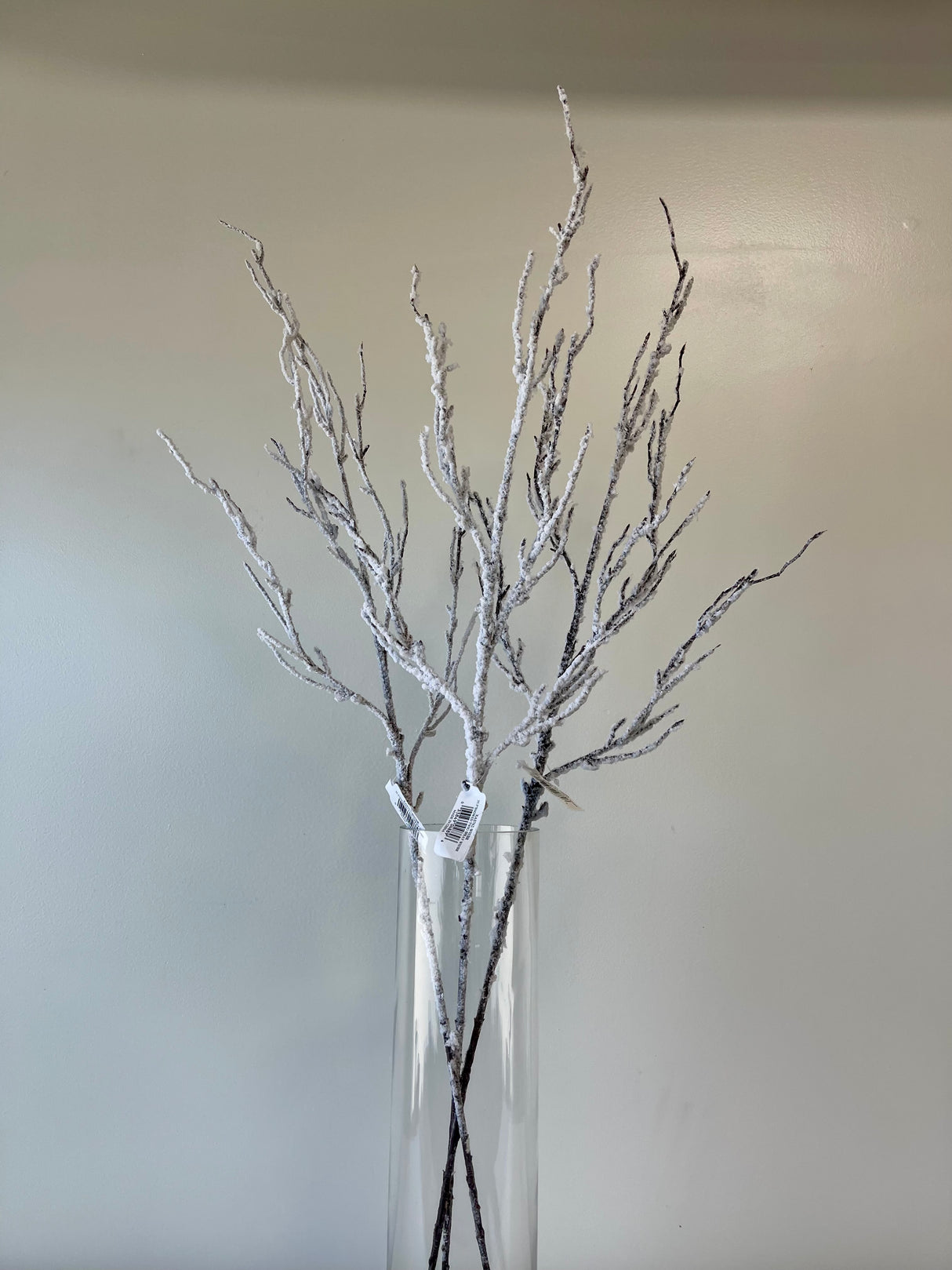 Snowed Twig Spray