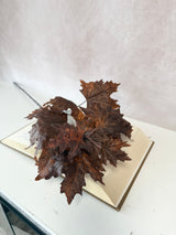 Brown Maple Leaf Spray