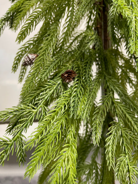 Spruce Pine Teardrop