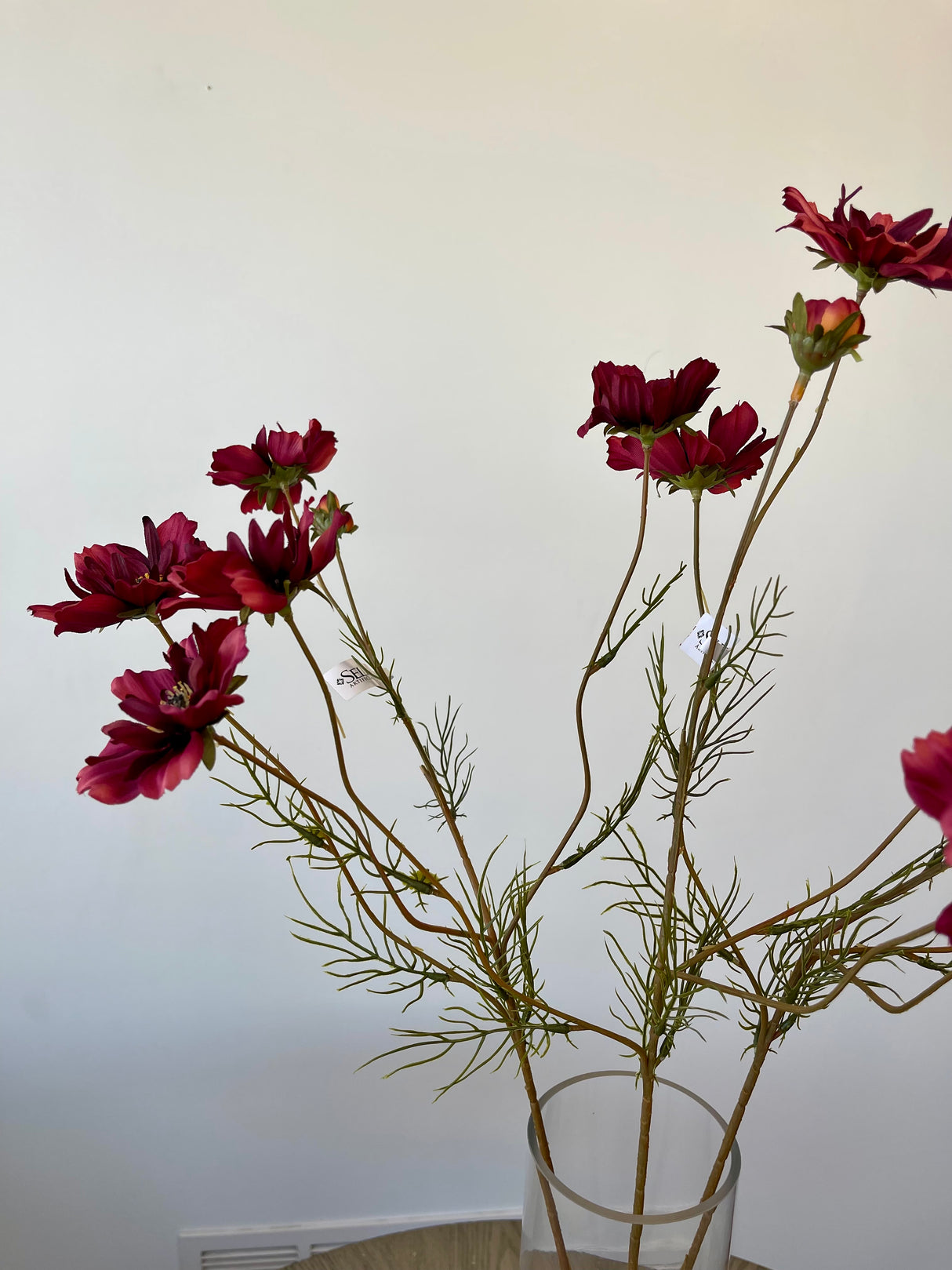 Burgundy Cosmos Spray With Bud