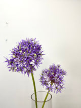 Lavender Allium Bundle