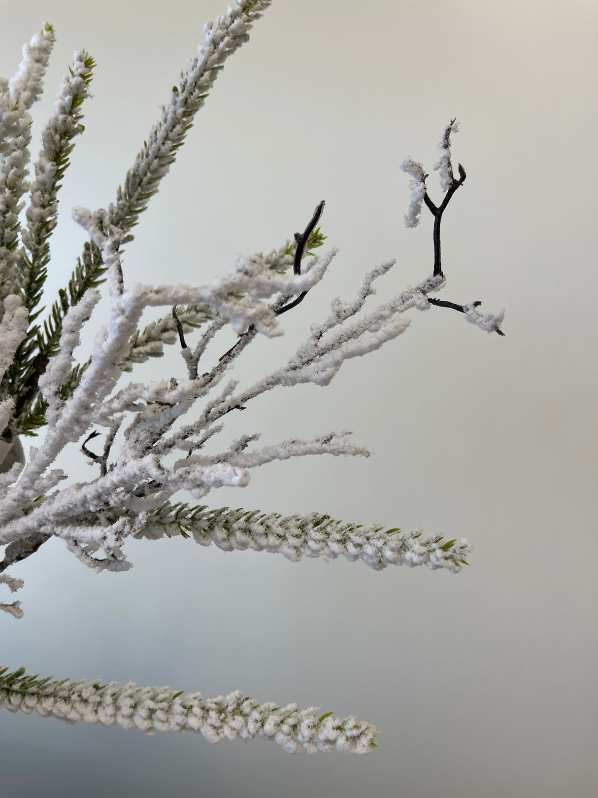 Snowed Twig Pine Spray