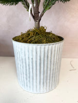 36" Potted Real Touch Norway Spruce Tree