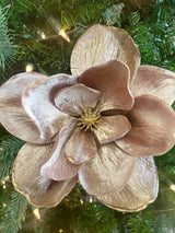 Velvet Magnolia With Gold Edge