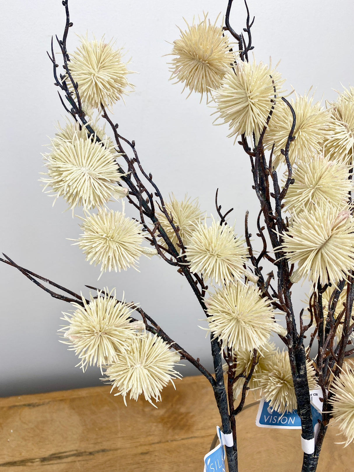 Cream Globe Thistle Stem