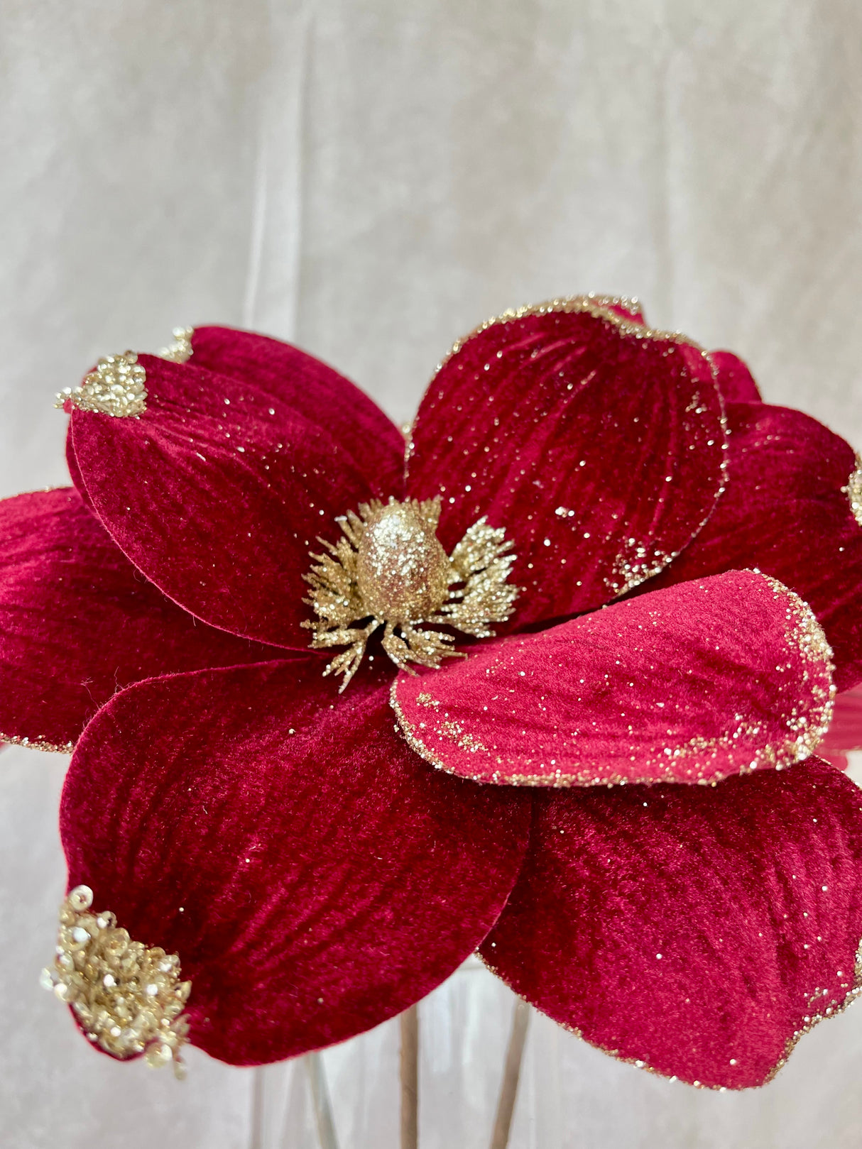 Burgundy Magnolia Stem