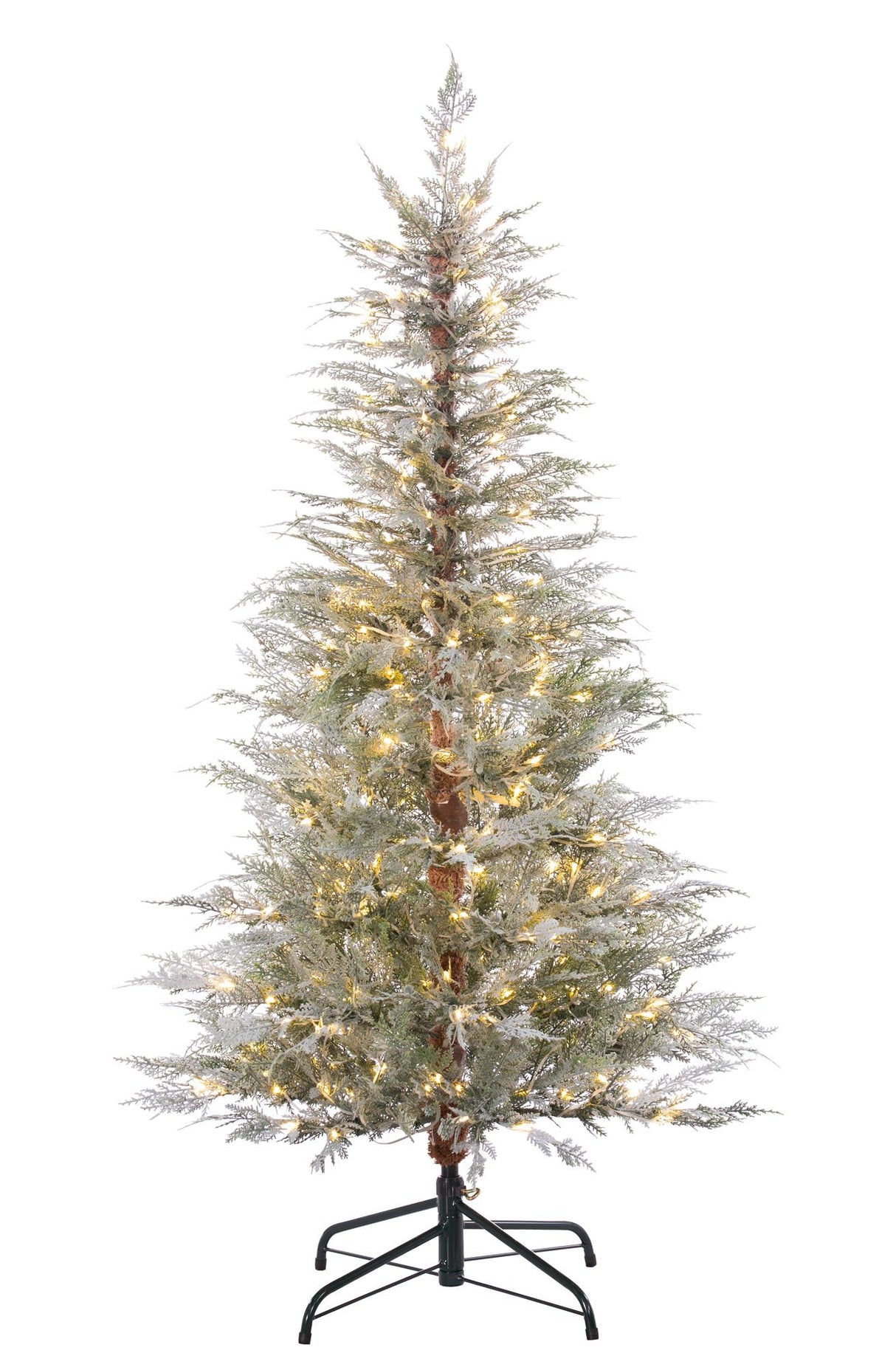 5' Snow Cedar Tree