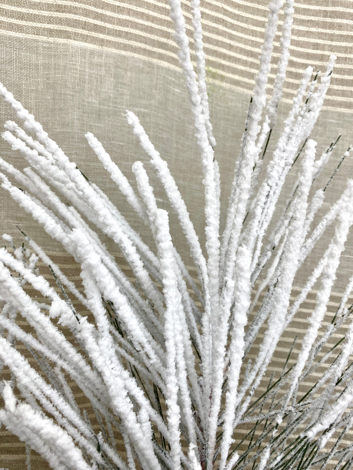 Snowy Winter Pine Spray