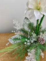 17" Snowy Amaryllis Centerpiece