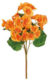 Real Touch Double Delight Primrose Begonia Bush