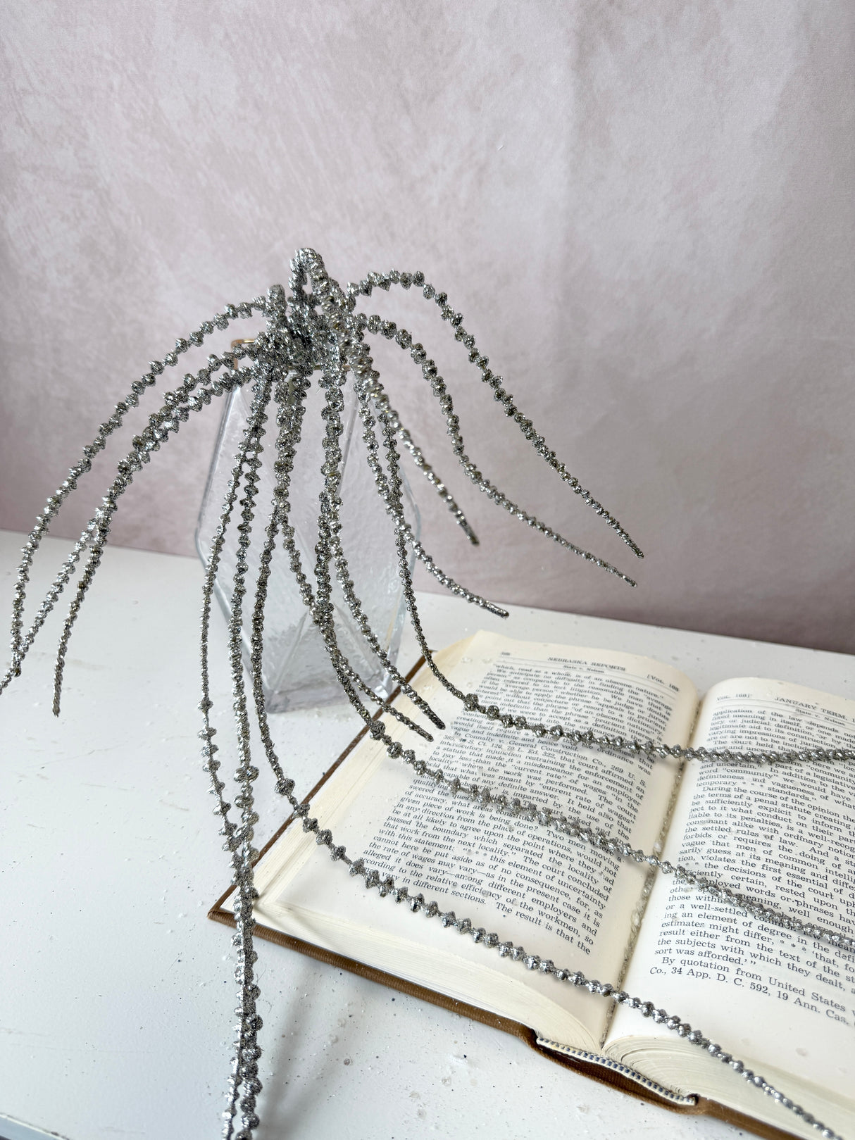 Platinum Senecio Hanging Vine