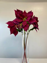 Burgundy Poinsettia Spray