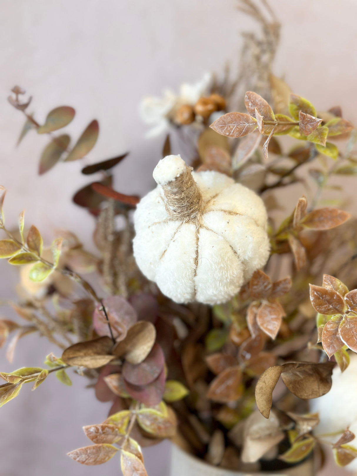 Soft Autumn Pumpkin Mixed Bundle