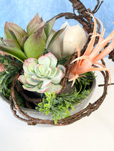 Chloe Succulent Centerpiece Kit