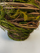 Moss Twig Cone Tree